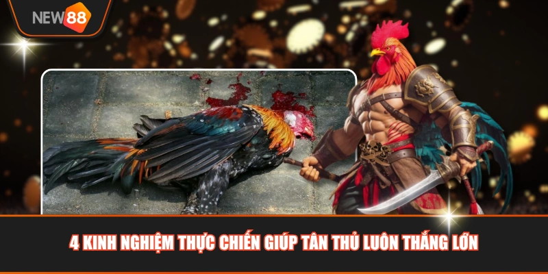 4 kinh nghiệm thực chiến giúp tân thủ luôn thắng lớn