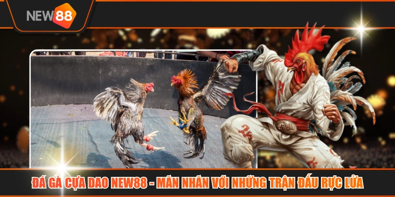 Đá Gà Cựa Dao NEW88 - Mãn Nhãn Với Những Trận Đấu Rực Lửa
