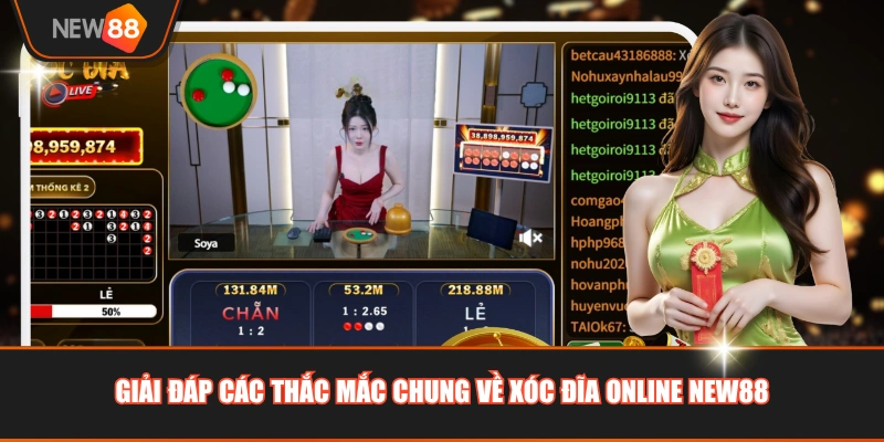 Giải đáp các thắc mắc chung về xóc đĩa online NEW88