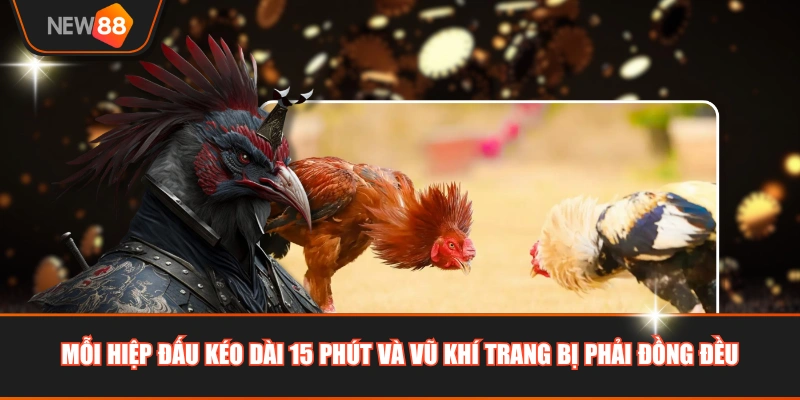 Mỗi hiệp đấu kéo dài 15 phút và vũ khí trang bị phải đồng đều
