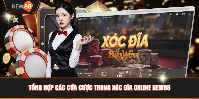 Tổng hợp các cửa cược trong xóc đĩa online NEW88