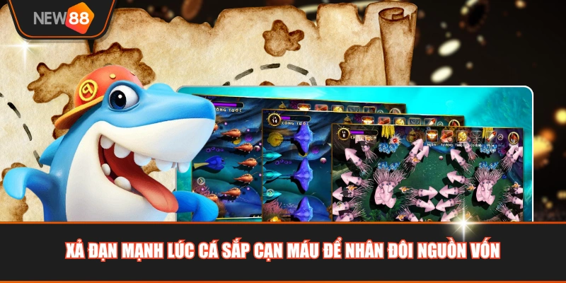 Xả đạn mạnh lúc cá sắp cạn máu để nhân đôi nguồn vốn 